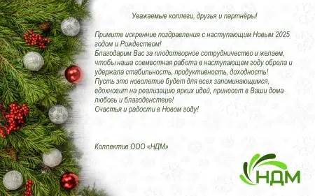 С Новым Годом!